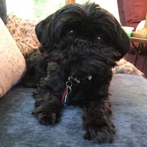 Meet your Posher, Kimberly